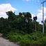  Land for sale in Chemax, Yucatan, Chemax