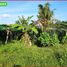  Land for sale in Kerambitan, Tabanan, Kerambitan