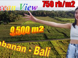  Land for sale in Kerambitan, Tabanan, Kerambitan