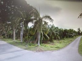  Land for sale in Kuala Selangor, Selangor, Kuala Selangor, Kuala Selangor