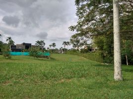  Land for sale in Pereira, Risaralda, Pereira