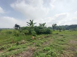  Land for sale in Gondangrejo, Karanganyar, Gondangrejo