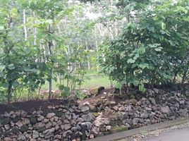  Land for sale in Yogyakarta, Tepus, Gunung Kidul, Yogyakarta