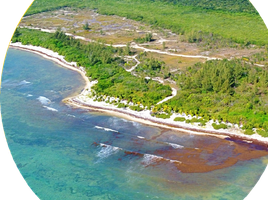  Grundstück zu verkaufen in Cozumel, Quintana Roo, Cozumel