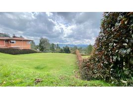  Land for sale in Envigado, Antioquia, Envigado