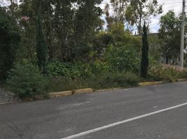  Grundstück zu verkaufen in Puebla, Puebla, Puebla, Puebla