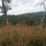  Land for sale in Cali, Valle Del Cauca, Cali