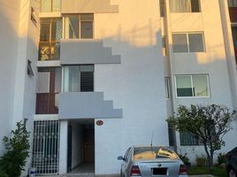 Condominium 2 chambre à louer à Guadalajara, Jalisco, Guadalajara