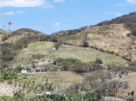  Land for sale in Loja, Malacatos Valladolid, Loja, Loja