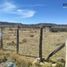  Terreno (Parcela) en alquiler en Durango, Durango, Durango, Durango, México
