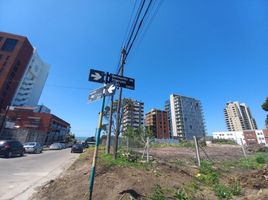  Grundstück zu verkaufen in General Pueyrredon, Buenos Aires, General Pueyrredon