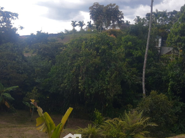 4 Bedroom House for sale in Dosquebradas, Risaralda, Dosquebradas