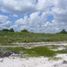 在Champoton, Campeche出售的 土地, Champoton