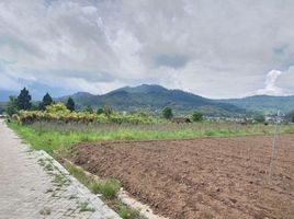  Land for sale in Batu, Malang Regency, Batu