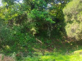  Grundstück zu verkaufen in Tepoztlan, Morelos, Tepoztlan, Morelos