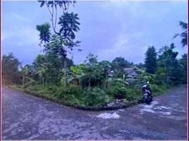  Land for sale in Prambanan, Klaten, Prambanan