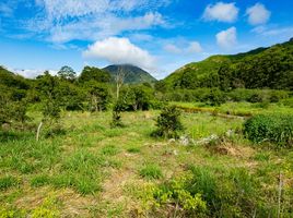  Terreno (Parcela) en venta en Loja, Vilcabamba (Victoria), Loja, Loja