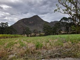  Terreno (Parcela) en venta en Loja, Malacatos (Valladolid), Loja, Loja