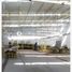 1,200 m² Office for rent in San Pedro, Coahuila, San Pedro