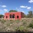  Land for sale in Motul, Yucatan, Motul