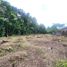  Land for sale in Yogyakarta, Banguntapan, Bantul, Yogyakarta