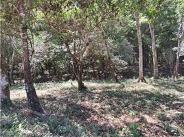  Terrain for sale in Jungla de Panama Wildlife Refuge, Palmira, Palmira