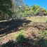  Terrain for sale in Jungla de Panama Wildlife Refuge, Palmira, Palmira