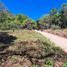  Terrain for sale in Jungla de Panama Wildlife Refuge, Palmira, Palmira