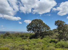  Terreno (Parcela) en venta en Punilla, Cordobá, Punilla