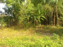  Land for sale in Depok, Sleman, Depok