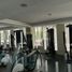 4 Bedroom Apartment for rent in Alvaro Obregon, Mexico City, Alvaro Obregon