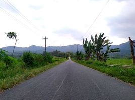  Land for sale in Yogyakarta, Pengasih, Kulon Progo, Yogyakarta