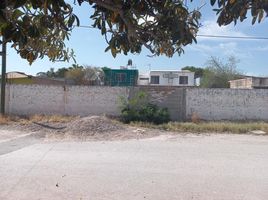 Terrain à vendre à Torreon, Coahuila, Torreon, Coahuila