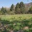  Land for sale in Vilcabamba Victoria, Loja, Vilcabamba Victoria, Loja, Loja