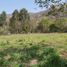  Land for sale in Vilcabamba Victoria, Loja, Vilcabamba Victoria, Loja, Loja