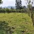  Land for sale in Vilcabamba Victoria, Loja, Vilcabamba Victoria, Loja, Loja