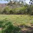  Land for sale in Vilcabamba Victoria, Loja, Vilcabamba Victoria, Loja, Loja