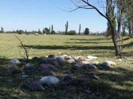  Casa en venta en San Rafael, Mendoza, San Rafael