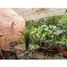 3 Bedroom House for sale in Envigado, Antioquia, Envigado