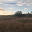  Land for sale in Silao, Guanajuato, Silao