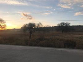  Land for sale in Silao, Guanajuato, Silao