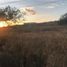  Land for sale in Silao, Guanajuato, Silao