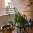 3 Bedroom Apartment for sale in Fundacion Cardioinfantil-Instituto de Cardiologia, Bogota, Bogota