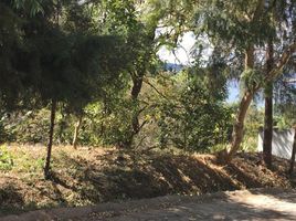 Terrain à vendre à Valle De Bravo, Mexico, Valle De Bravo