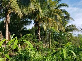  Terreno (Parcela) en venta en Merida, Yucatán, Merida