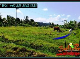  Land for sale in Selemadeg, Tabanan, Selemadeg