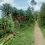  Grundstück zu verkaufen in Lembang, West Jawa, Lembang, Bandung, West Jawa, Indonesien