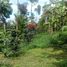  Grundstück zu verkaufen in Lembang, West Jawa, Lembang, Bandung, West Jawa, Indonesien