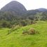  Terrain for sale in Aisen Del General Carlos Ibanez Del Campo, Aisen, Aisen, Aisen Del General Carlos Ibanez Del Campo