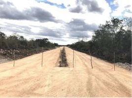  Terreno (Parcela) en venta en Uman, Yucatán, Uman